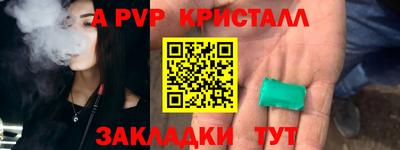крисы Бийск