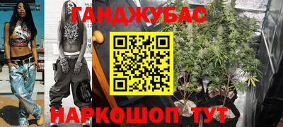 крисы Бийск