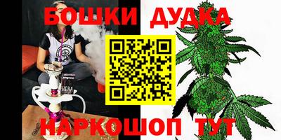крисы Бийск
