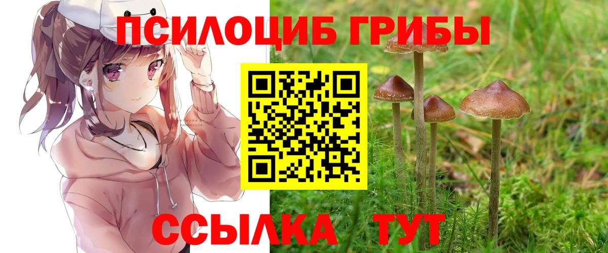 Псилоцибиновые грибы мицелий  Вход с VPN  Кимовск 