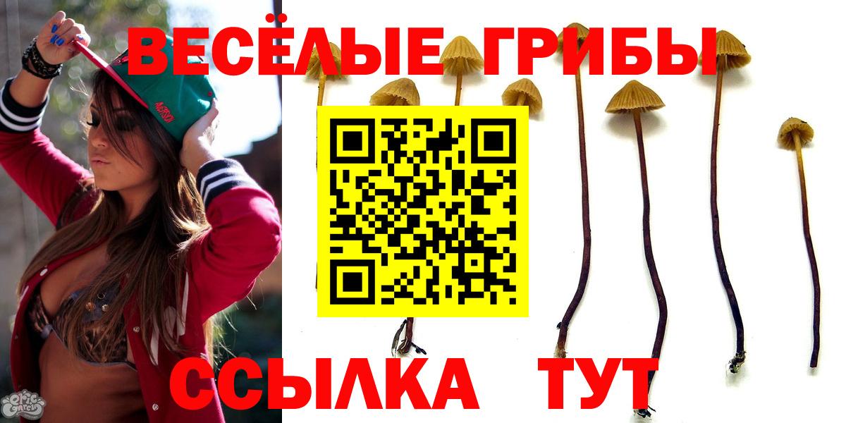 Галлюциногенные грибы Magic Shrooms Кимовск